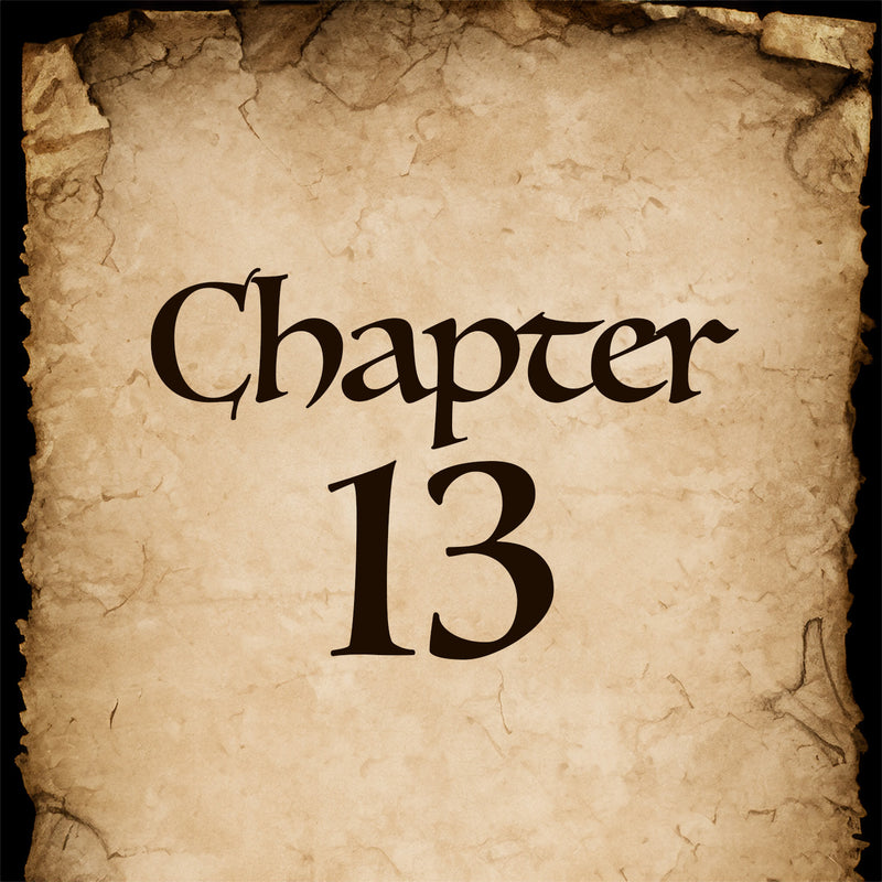 Chapter 13