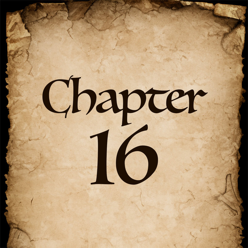 Chapter 16