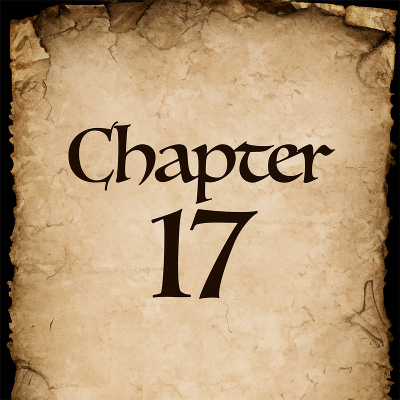 Chapter 17