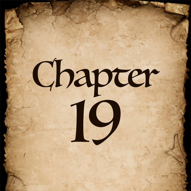 Chapter 19