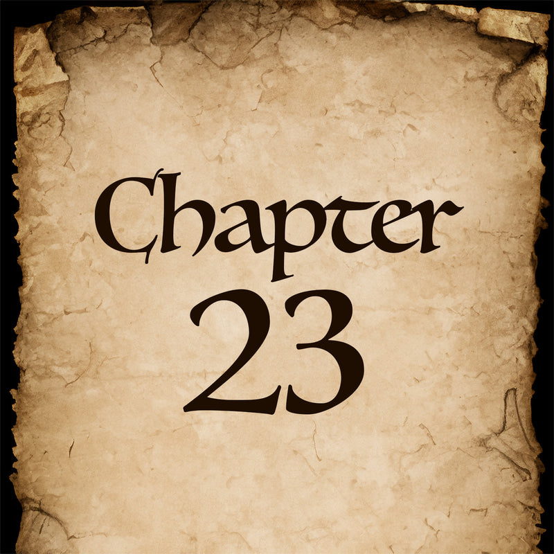 Chapter 23