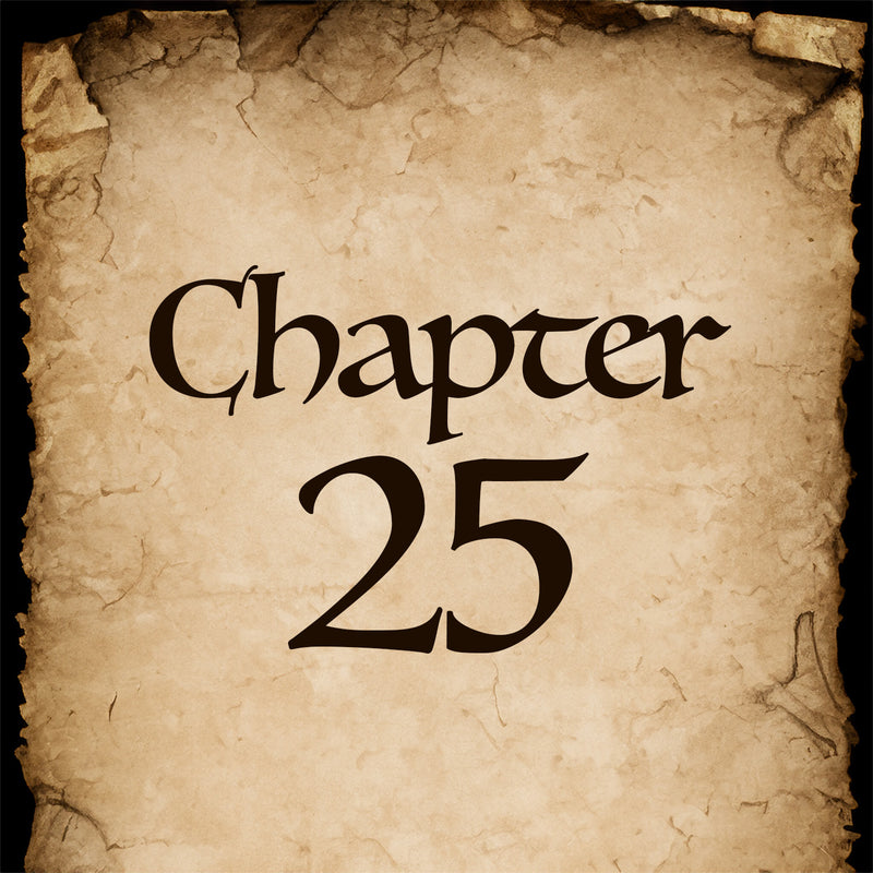 Chapter 25