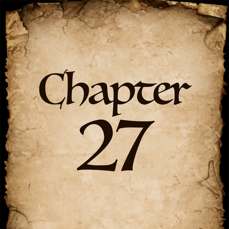 Chapter 27