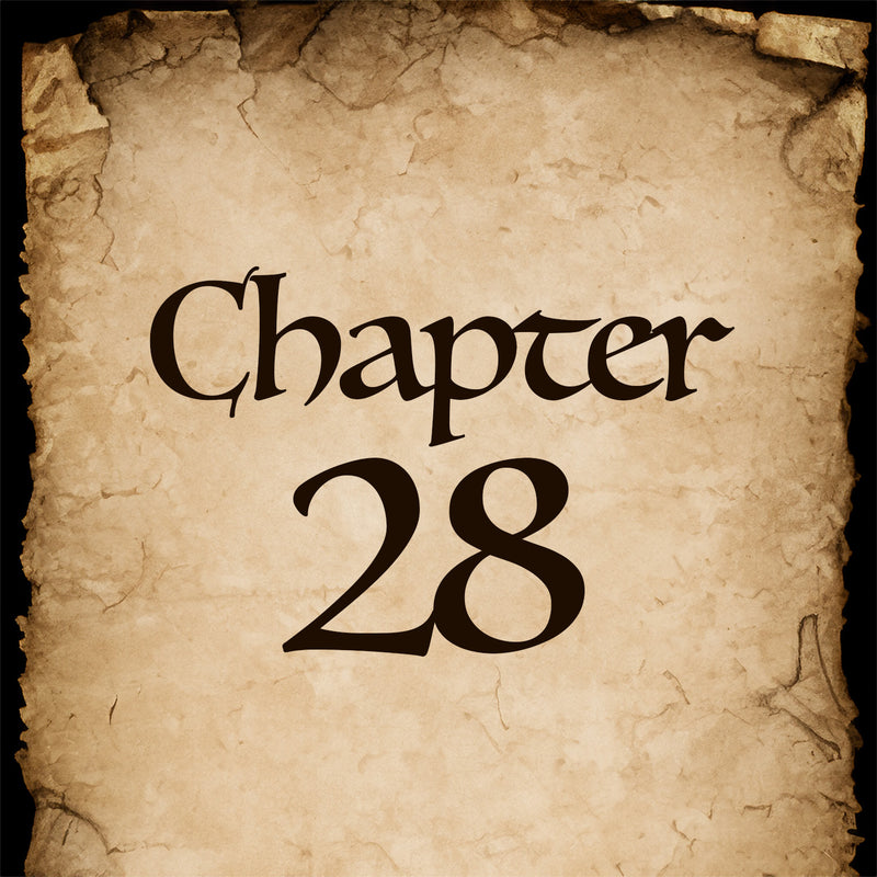 Chapter 28