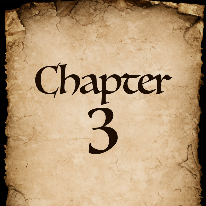 Chapter 3