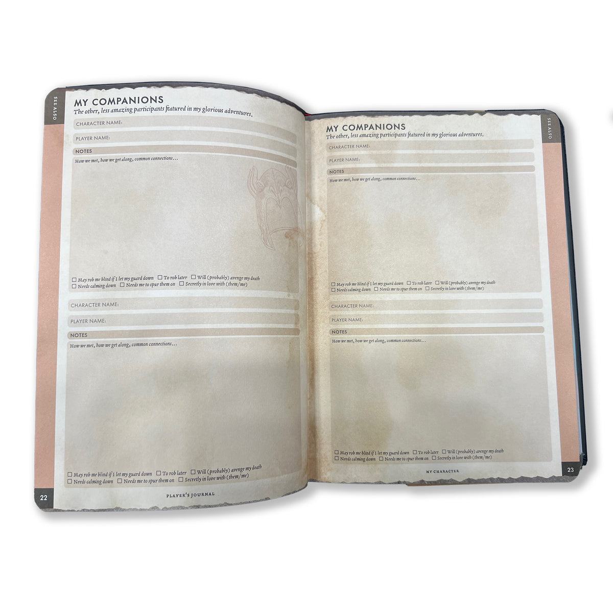 Player's Journal