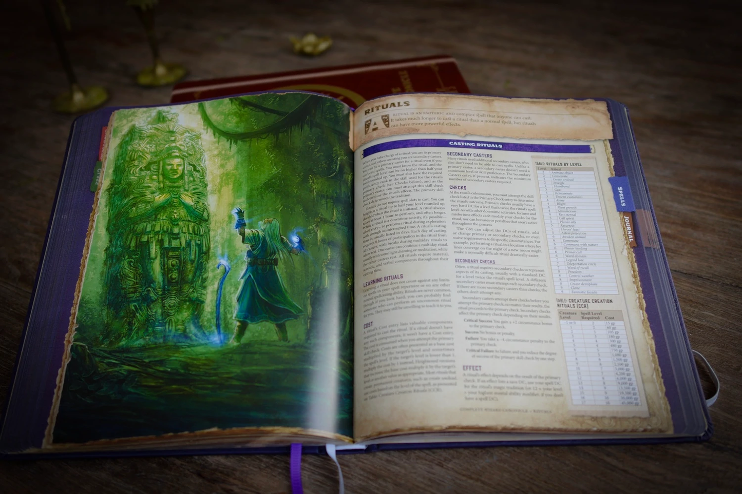 Limited Edition of Druid Character Chronicle