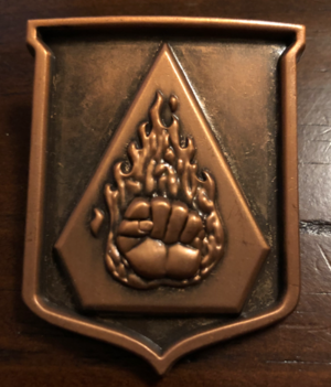 Flaming Fist Badge (D&D)